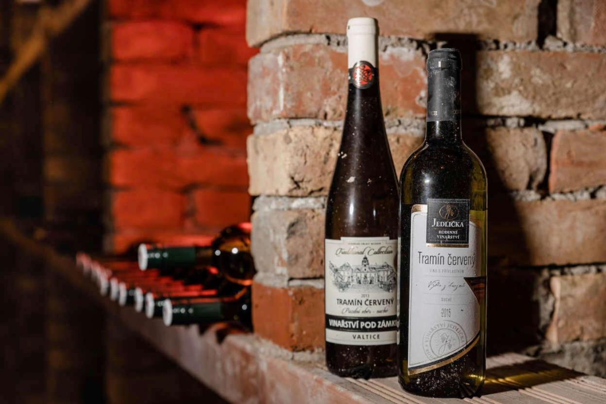 Apartmán Cabernet Velké Pavlovice Kültér fotó
