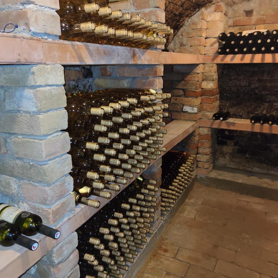 Apartmán Cabernet Velké Pavlovice Kültér fotó