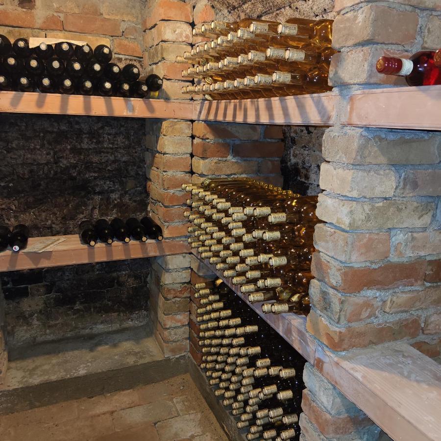 Apartmán Cabernet Velké Pavlovice Kültér fotó