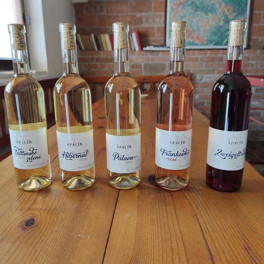 Apartmán Cabernet Velké Pavlovice Kültér fotó